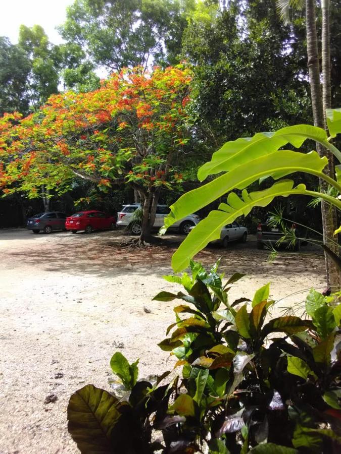 Villas Ecotucan Bacalar Kültér fotó
