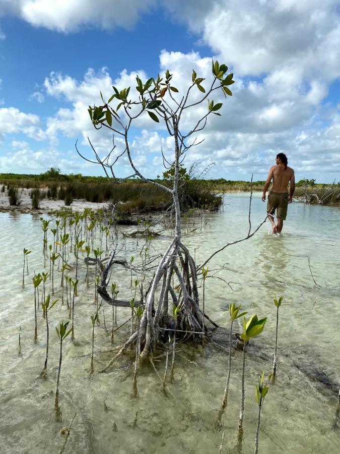 Villas Ecotucan Bacalar Kültér fotó